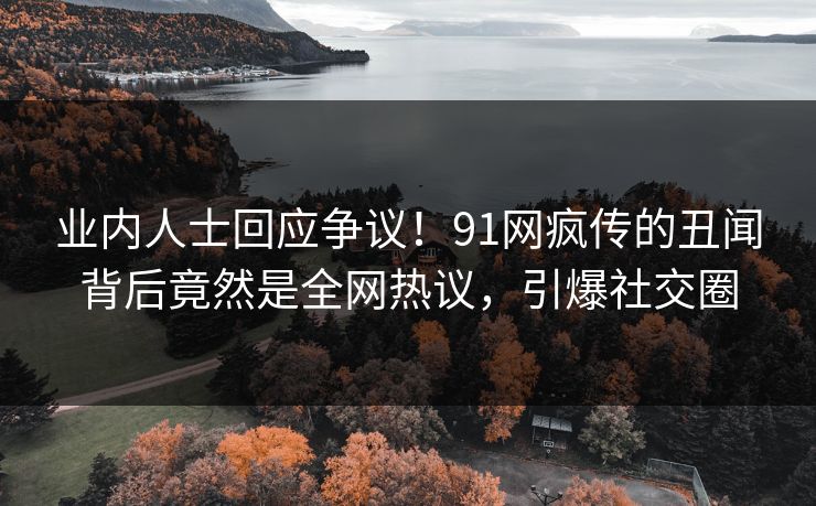 业内人士回应争议！91网疯传的丑闻背后竟然是全网热议，引爆社交圈