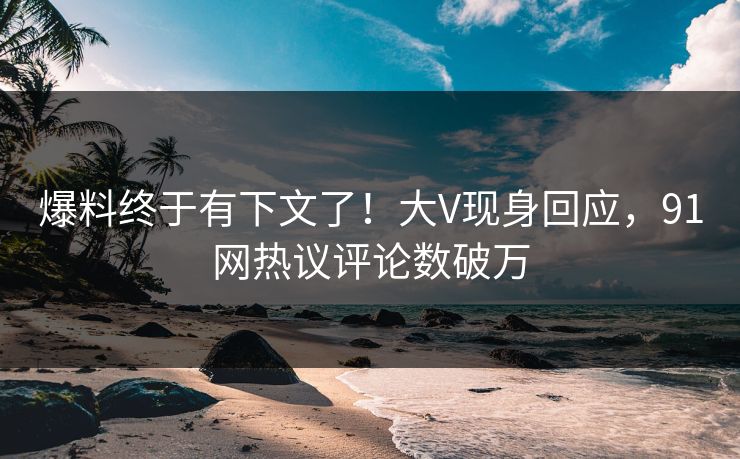 爆料终于有下文了！大V现身回应，91网热议评论数破万