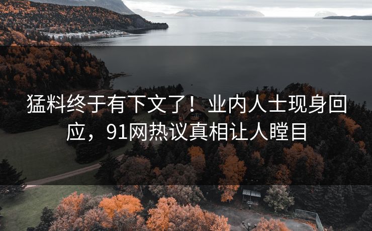 猛料终于有下文了！业内人士现身回应，91网热议真相让人瞠目