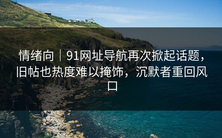 情绪向｜91网址导航再次掀起话题，旧帖也热度难以掩饰，沉默者重回风口