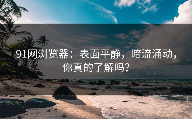 91网浏览器：表面平静，暗流涌动，你真的了解吗？